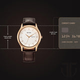 Titan Karishma Silver Dial Day-Date Watch 1825SL15