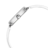 Titan Raga Viva Silver Dial Women's Watch NU2683SM01