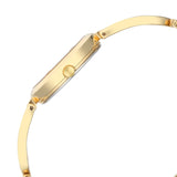 Titan Raga Brown Dial Women’s Watch NU2727YM01