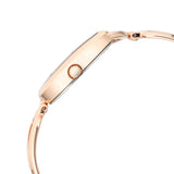 Titan Raga Chic Brown Dial Women’s Watch NU2688WM01