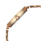 Titan Workwear Brown Dial Women’s Watch NU2783WM01