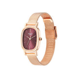 Titan Raga Viva Brown Dial Women’s Watch NU2665WM01