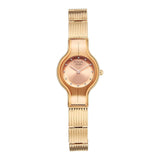 Titan Raga Glimmers Brown Dial Women's Watch NU95328WM01F