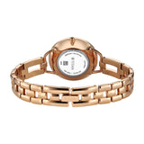 Titan Raga DEC Blaze Brown Dial Women's Watch 2791WM01