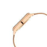 Titan Animalia Quartz Women’s Watch NS95130WM01