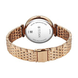 Titan Workwear Brown Dial Women’s Watch NU2783WM01