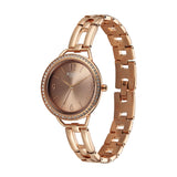 Titan Raga DEC Blaze Brown Dial Women's Watch 2791WM01