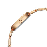 Titan Raga Showstopper Silver Dial Women’s Watch NU95345WM01
