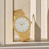 Titan Karishma Analog Watch for Men NT1650YM05