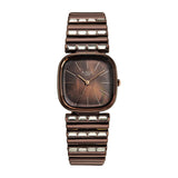Titan Raga Glimmers Brown Women's Watch NU95339QM01F