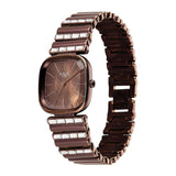 Titan Raga Glimmers Brown Women's Watch NU95339QM01F