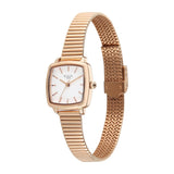 Titan Raga Showstopper White Dial Women’s Watch NU95355WM01