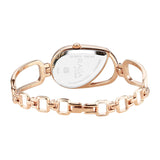 Titan Raga Chic Brown Dial Women’s Watch NU2688WM01