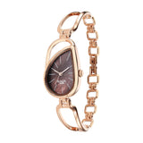 Titan Raga Chic Brown Dial Women’s Watch NU2688WM01
