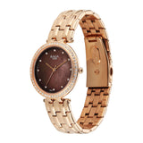 Titan Raga DEC Blaze Brown Women's Watch 2793WM01