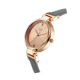 Titan Raga Viva Rose Gold Dial Women's Watch NU2608WL01