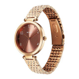 Titan Workwear Brown Dial Women’s Watch NU2783WM01
