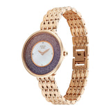 Titan Raga Glimmers Mother of Pearl Dial Women's Watch NU95336WM01F