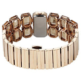 Titan Raga Cocktails Brown Dial Women's Watch NU95320WM01