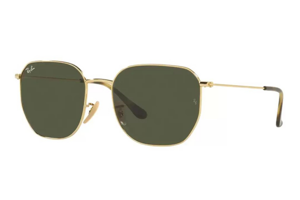 Ray-Ban RB3695