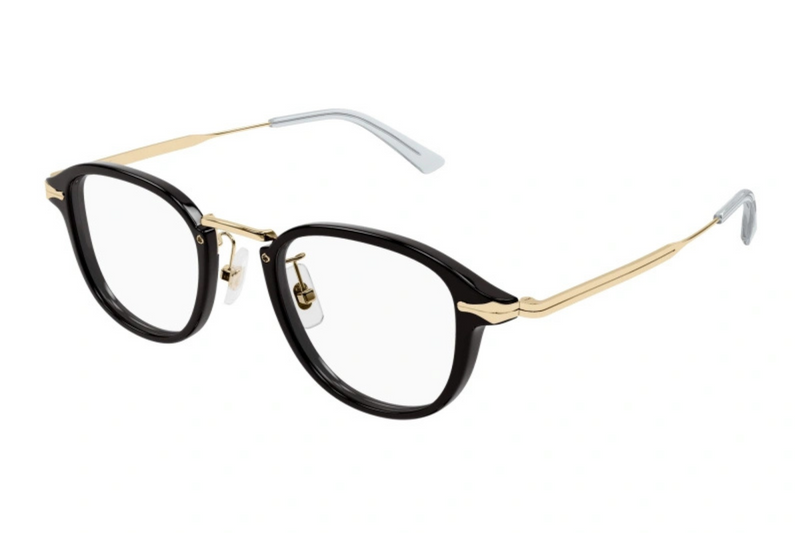 Mont Blanc Frame MB0336O