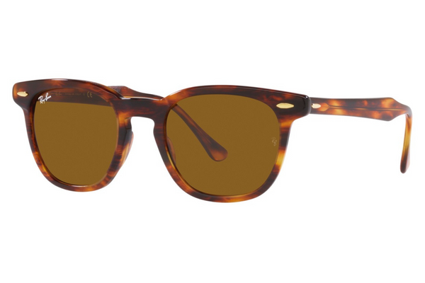 Ray-Ban Hawkeye RB2298 954/33 52