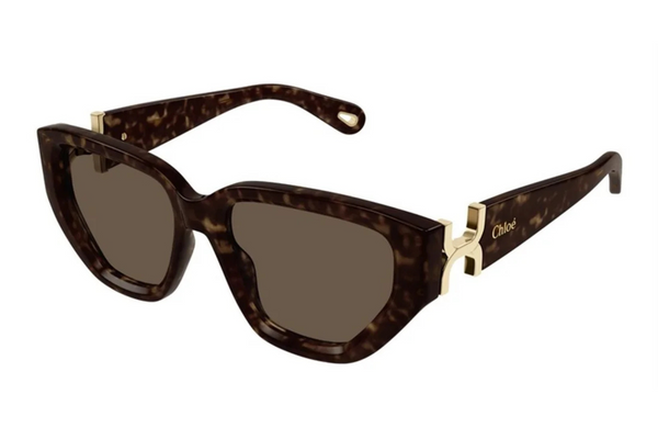 Chloé Sunglasses CH0235S 005