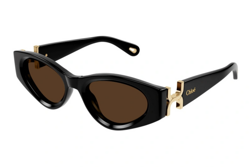Chloé Sunglasses CH0259S 001