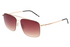 French Connection Sunglasses FC7657