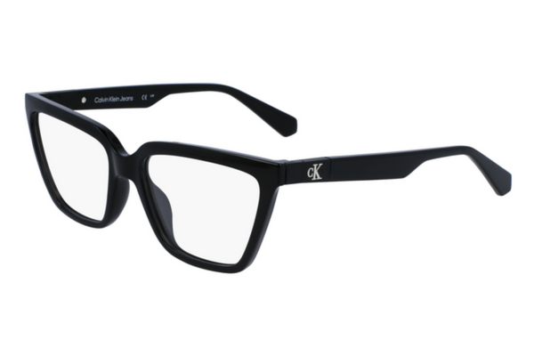 Calvin Klein Jeans Frame CKJ23648