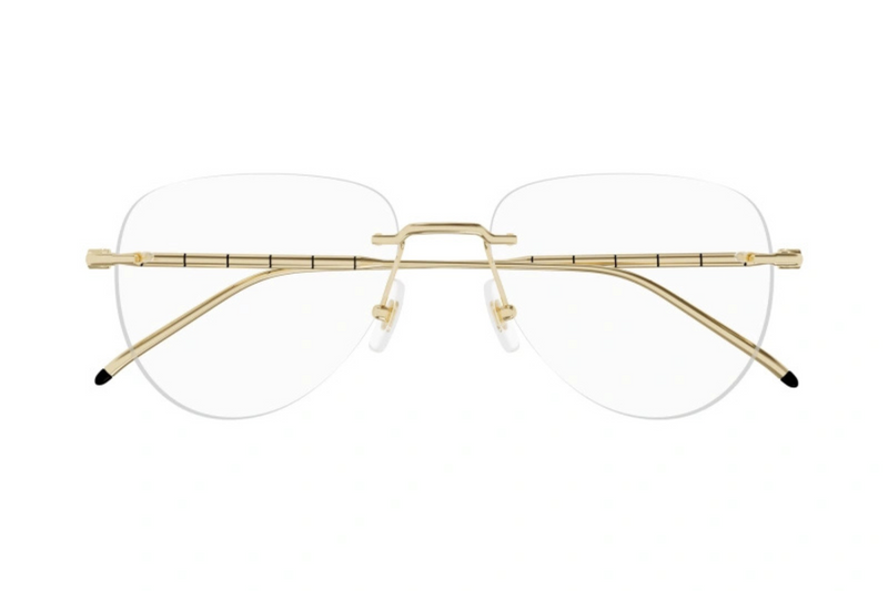 Mont Blanc Frame MB0312O