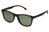 Scott Sunglasses SC2937PL Elliot POLARIZED