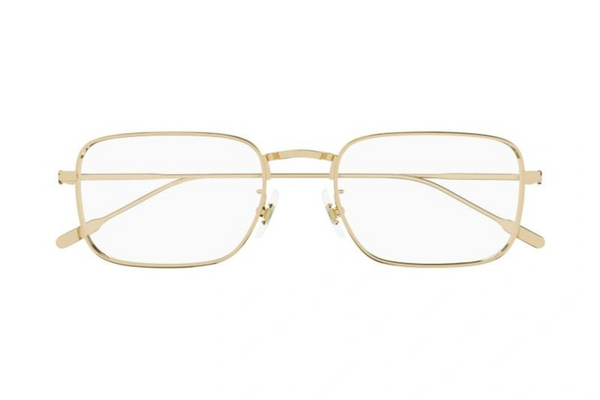 Mont Blanc Frame MB0212O