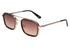 Scott Sunglasses SC3107 Perry