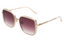 Scott Sunglasses SC2985 Ivy