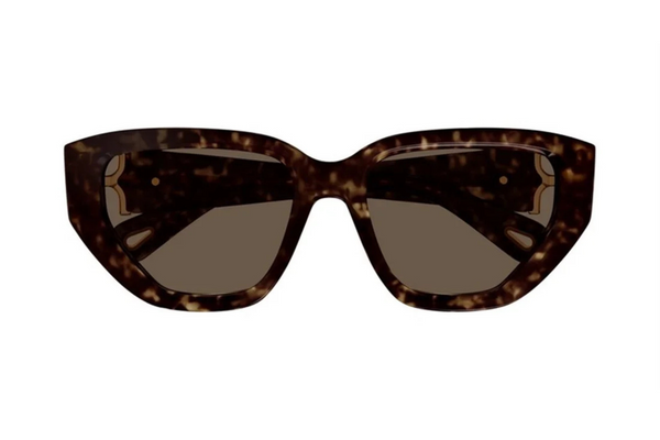 Chloé Sunglasses CH0235S 005