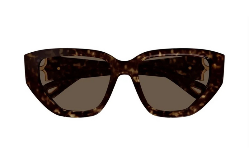 Chloé Sunglasses CH0235S 005