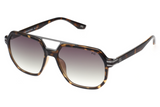 French Connection Sunglasses FC7646