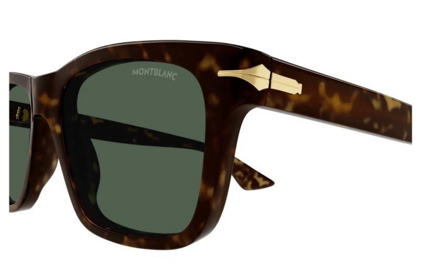 Mont Blanc Sunglasses MB0263S