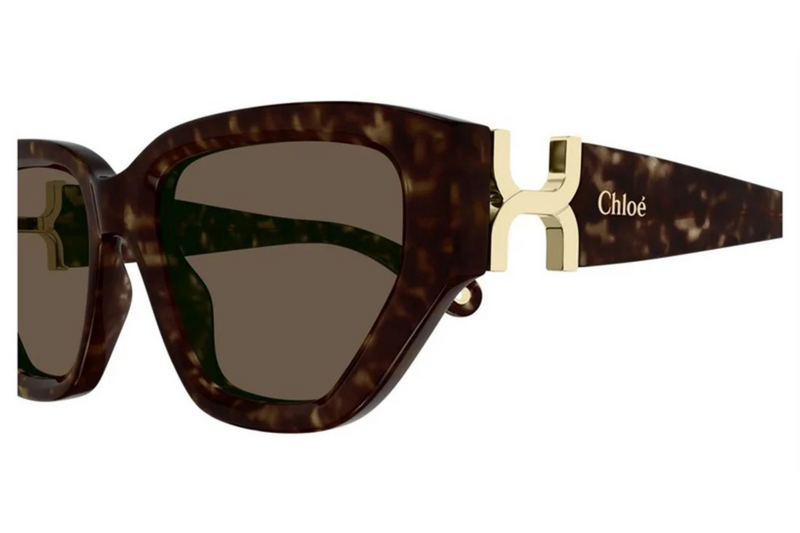 Chloé Sunglasses CH0235S 005