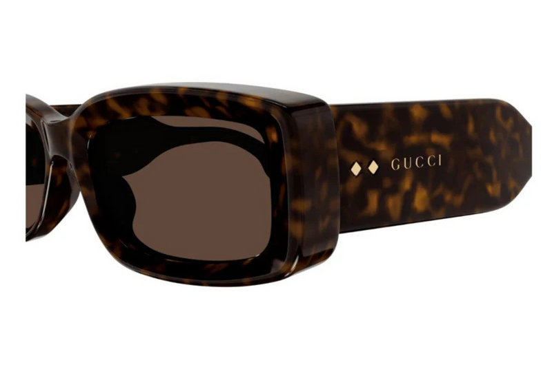 Gucci Sunglasses GG1528S