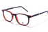 David Jones Frame 1704