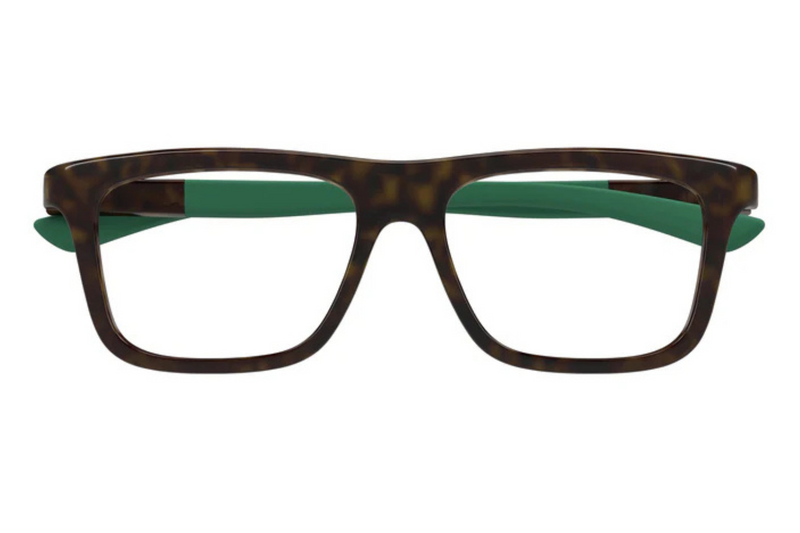 Gucci Frame Gucci GG1737O