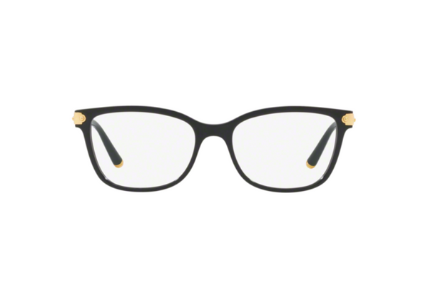 Dolce & Gabbana Frame DG 5036 501