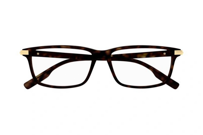 Mont Blanc Frame MB0217O