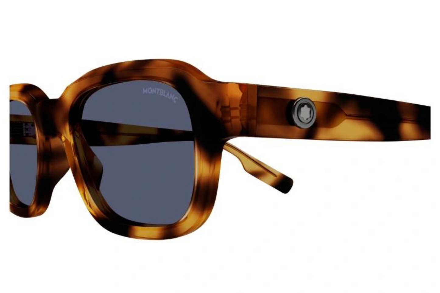 Mont Blanc Sunglasses MB0201S