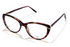 David Jones Frame 2109