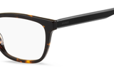 Hugo Boss Frame HG1250