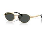 RAY-BAN Sunglasses RB3774D