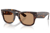 Ray-Ban Sunglasses RB0840S ( Pre_Booking )